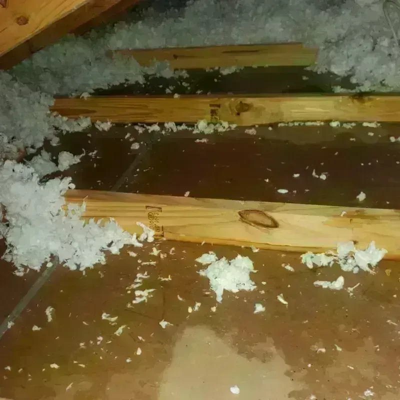 Attic Water Damage in Daleville, IN